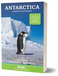 Antarctica wildlife