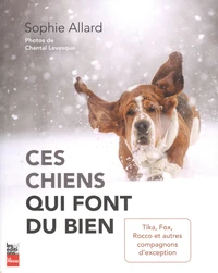 Ces chiens qui font du bien