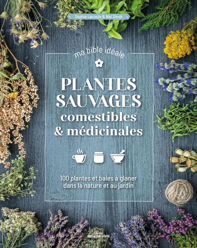 Couverture de Plantes sauvages comestibles & médicinales, ma bible idéale : 120 plantes & baies à glaner dans la nature & au jardin