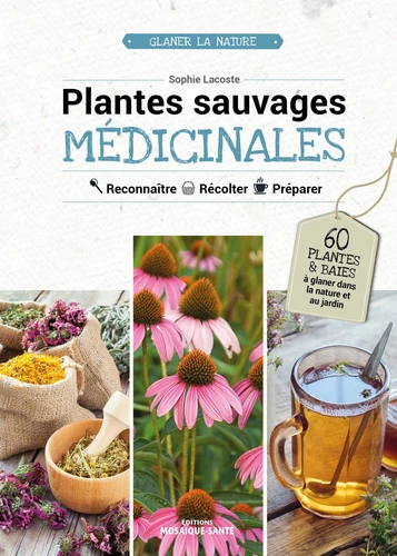 Couverture de Plantes sauvages médicinales ; reconnaître, récolter & utiliser les plantes médicinales