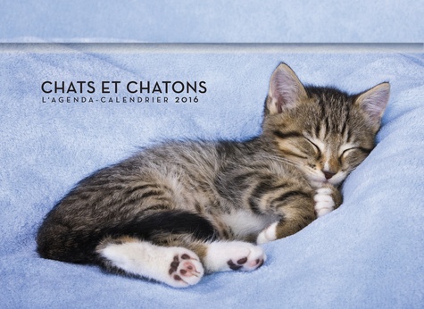 L'agenda-calendrier chats et chatons  Edition 2016