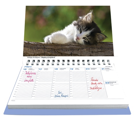 L'agenda-calendrier chats et chatons  Edition 2016