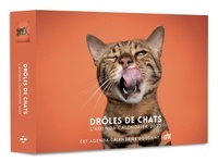 Sophie Le Flour - L'agenda-calendrier Drôles de chats.