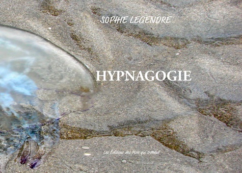 Hypnagogie