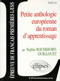 Sophie Rochefort-Guillouet - Petite Anthologie Europeenne Du Roman D'Apprentissage.