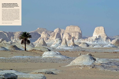 Beautés secrètes. A la découverte des merveilles naturelles de notre planète