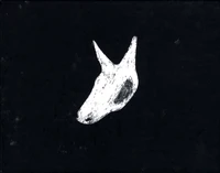 Pot d'âne
