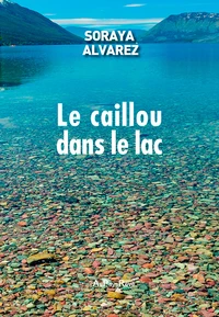 Le caillou dans le lac