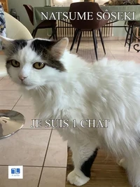 Je suis un chat