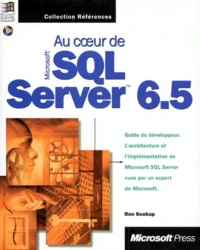 Au Coeur De Sql Server 6.5. Avec Cd-Rom