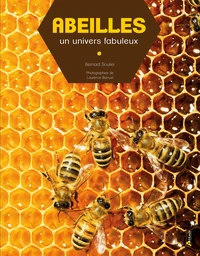 Abeilles, un univers fabuleux