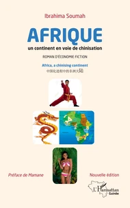 L'Afrique un continent en voie de chinisation