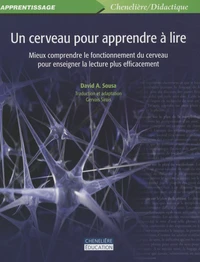 Un cerveau pour apprendre à lire