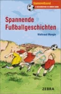 Spannende Fußballgeschichten - Sammelband: Endspielfieber. Käpt´n vor, noch ein Tor. Torjagd ums Trikot.