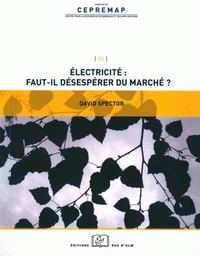 Electricité : faut-il désespérer du marché ?