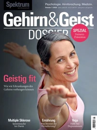 Gehirn&amp;Geist Dossier 1/2025 Geistig fit