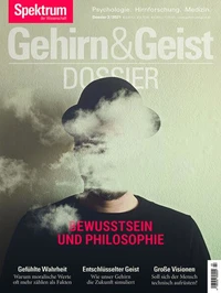 Gehirn&amp;Geist Dossier - Bewusstsein und Philosophie