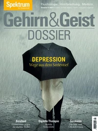 Gehirn&amp;Geist Dossier - Depression