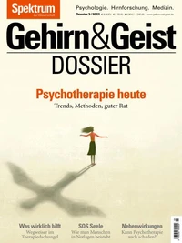 Gehirn&amp;Geist Dossier - Psychotherapie heute