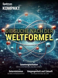 Spektrum Kompakt - Die Suche nach der Weltformel