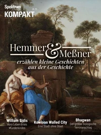 Spektrum Kompakt Hemmer und Meßner erzählen kleine Geschichten aus der Geschichte