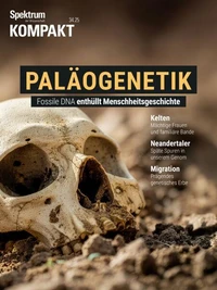 Spektrum Kompakt - Neandertaler