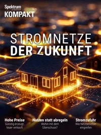 Spektrum Kompakt - Stromnetze der Zukunft
