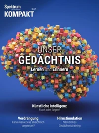 Spektrum Kompakt - Unser Gedächtnis