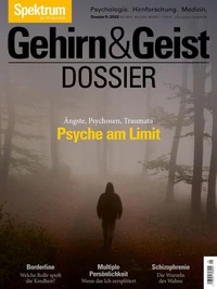 Gehirn&amp;Geist Dossier - Psyche am Limit