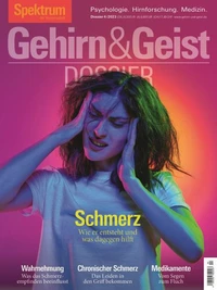 Gehirn&amp;Geist Dossier - Schmerz