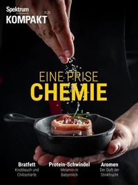 Spektrum Kompakt - Eine Prise Chemie