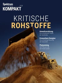 Spektrum Kompakt - Kritische Rohstoffe