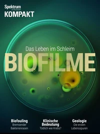 Spektrum Kompakt - Biofilme