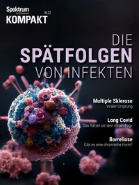 Spektrum Kompakt - Die Spätfolgen von Infekten