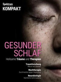 Spektrum Kompakt - Gesunder Schlaf