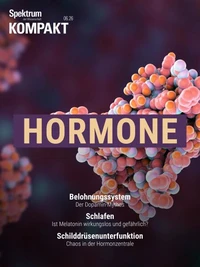 Spektrum Kompakt - Hormone
