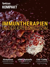 Spektrum Kompakt -Immuntherapien in der Krebsmedizin