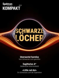 Spektrum Kompakt - Schwarze Löcher