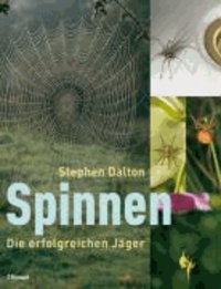 Spinnen - Die erfolgreichen Jäger.