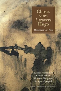 Choses vues à travers Hugo