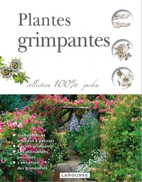 Plantes grimpantes