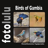Sr. fotolulu - Birds of Gambia - Westafrikanisches Vogelparadies.