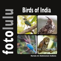 Sr. fotolulu - Birds of India - Kerala im Südwesten Indiens.