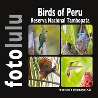 Sr. fotolulu - Birds of Peru - Reserva Nacional Tambopata.