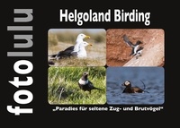 Sr. fotolulu - Helgoland Birding - Paradies für seltene Zug- und Brutvögel.