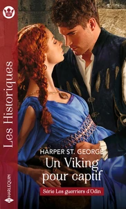 Un viking pour captif