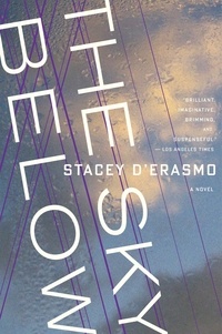 Stacey D'Erasmo - The Sky Below.