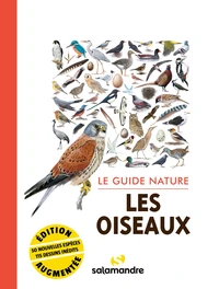 Les oiseaux