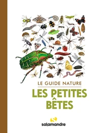 Les petites bêtes