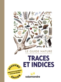 Traces et indices